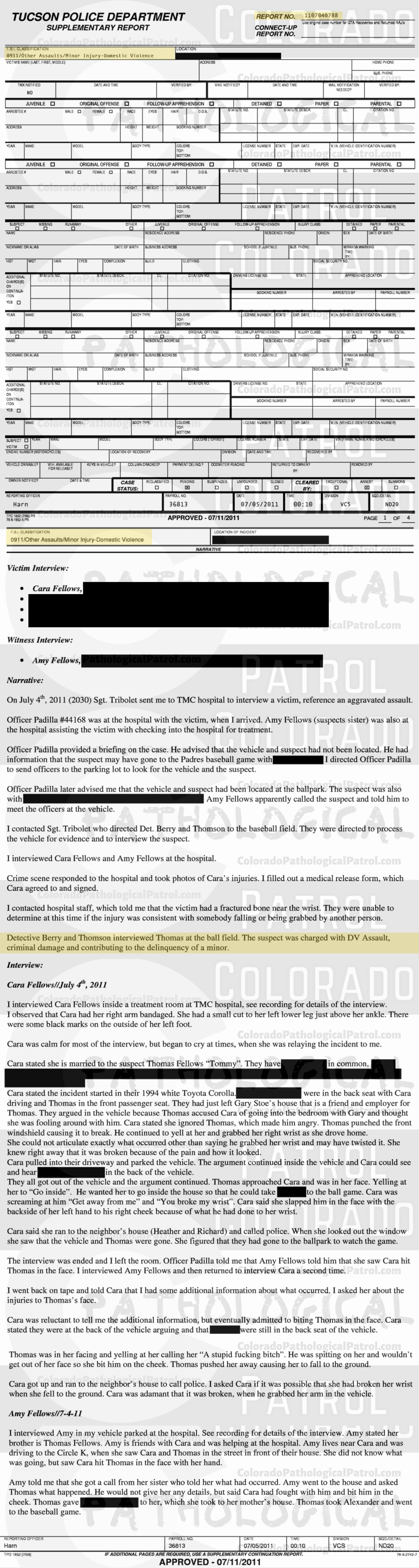 COLORADO PED PATROL | Thomas Fellows lies about being charged with domestic violence [1 woman] & contributing to the delinquency of minors [3 children]